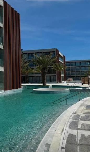 Piscina com palmeiras